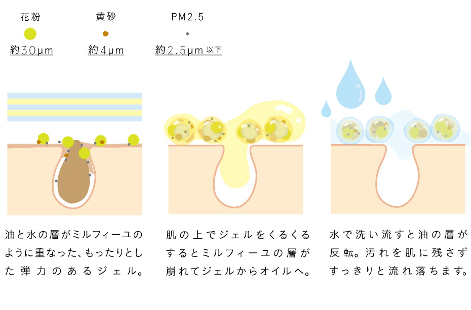 POINT1肌図