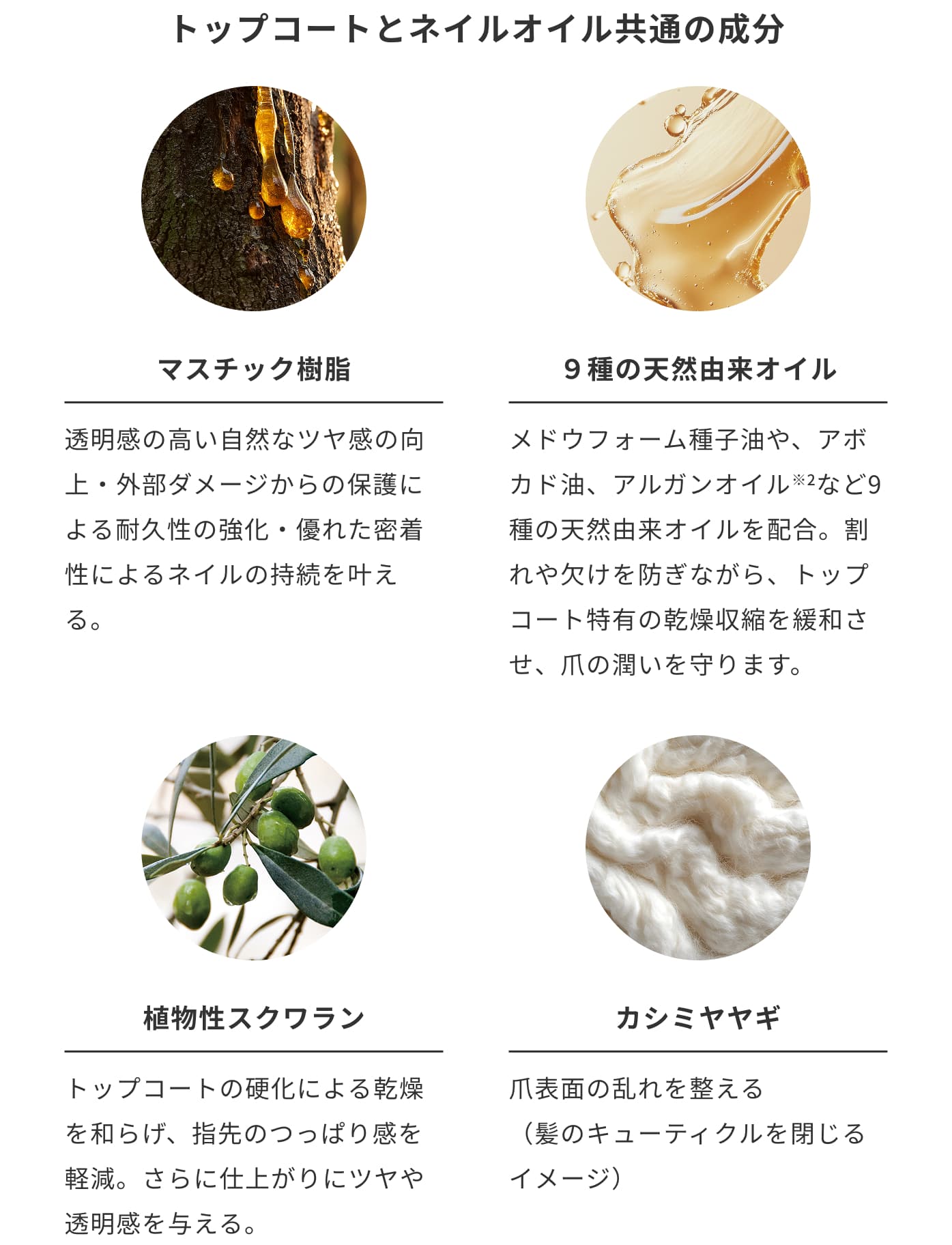 共通の成分