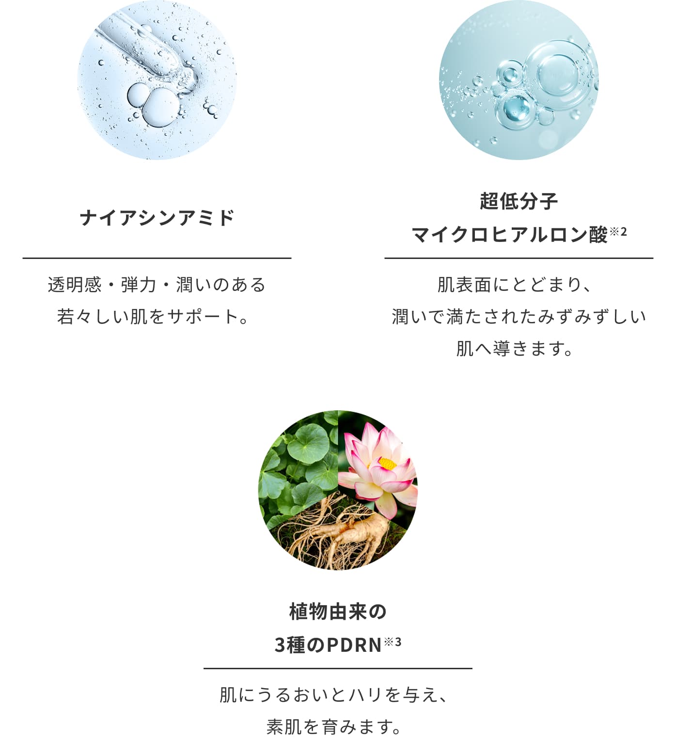 多角的なエイジングケア設計